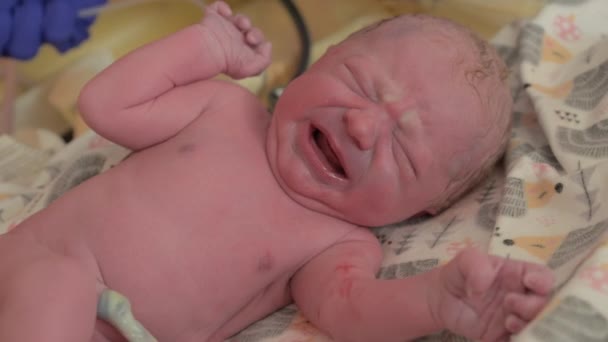 Newborn screaming baby at hospital. Close up view of a tiny newborn child crying. - Video, Çekim
