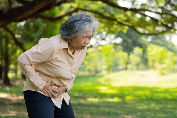 Doente asiático idoso dor de estômago ou gastroenterologistas, idosos têm um problema de estômago, pancreatite aguda causar dores de estômago, sintomas doença do sistema gastrointestinal, intestino, problemas de digestão - Foto, Imagem
