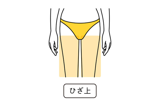 Illustration of female hair removal by part, above the knee - Translation: above the knee - Vektör, Görsel