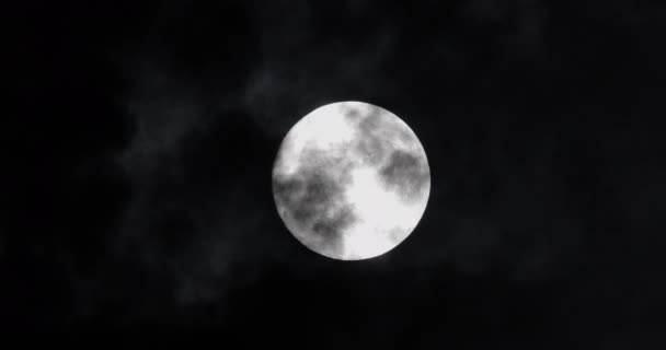 Full moon at night. The illuminated face of the moon is wrapped in a cloud cover that covers it in a veiled way. - Imágenes, Vídeo