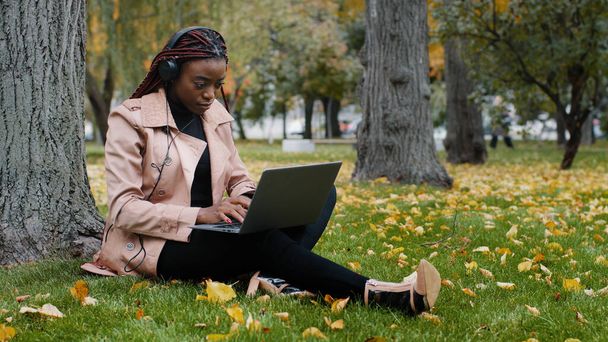 Young focused female student freelancer sitting in autumn park near tree working on laptop typing message checks email studying remote online distance learning using headphones listening to music - 写真・画像