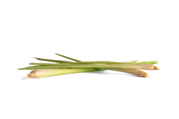 lemongrass isolated on a white backgroun - Photo, image