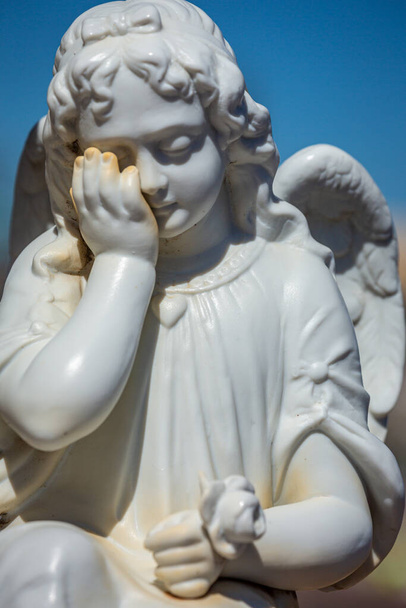 Seraphim angel praying with flower for forgiveness and hope of better days to come - 写真・画像