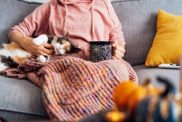 Woman in plaid drinking hot tea from Halloween theme mug, stroking relaxed multicolored cat pet on the sofa at decorated for fall holidays home. Cozy and comfortable autumn holidays. Selective focus - Foto, afbeelding