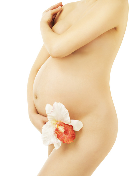 Pregnant Woman Belly, Pregnancy Beauty perfect Body. Isolated white background. Maternity Health concept - Foto, Imagem