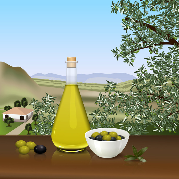 bottle of olive oil on the table - Vector, Image