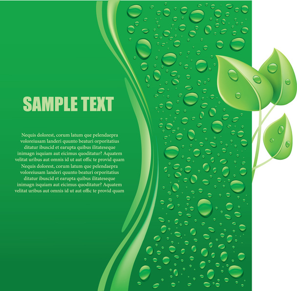 Water drops on green background with place for text - Vector, imagen