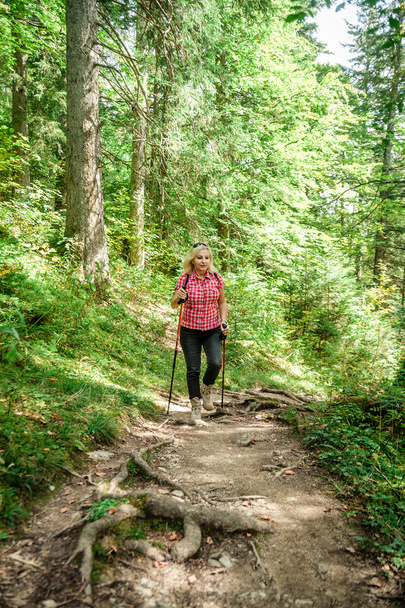 Turysta blondynka w lesie - Zdjęcie, obraz