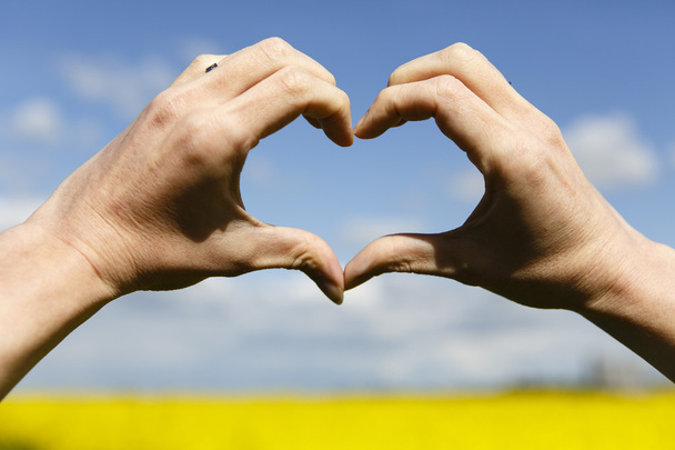 Mãos de forma de amor - coração em campo amarelo e céu azul
 - Foto, Imagem