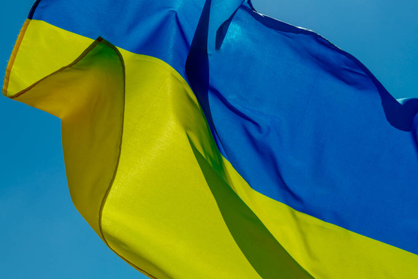 the ukrainian flag flying backlit by the sun on the sky, in a sunny day - 写真・画像