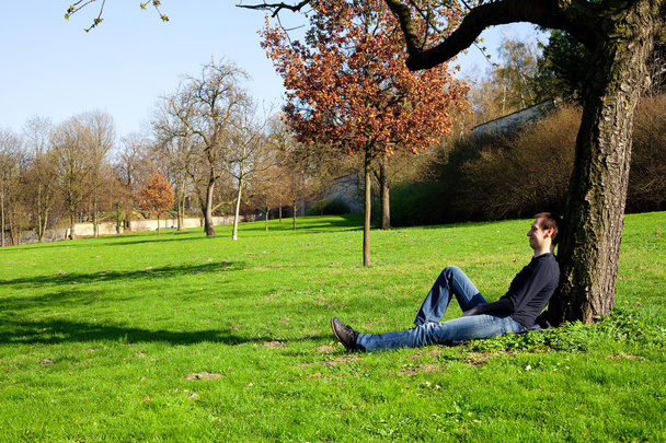 Man resting in a tree - Фото, изображение