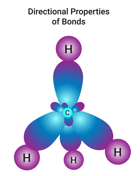 Directional Properties of Bonds (CH4 is tetrahedral) - Vektor, kép