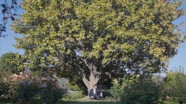 Světle zelený strom v letní zahradě a muž v obleku sedící na zemi a opírající se o jeho kmen. Akce. Mladý muž odpočívá pod korunou stromu - Záběry, video