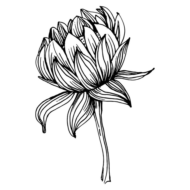 Crisantemo dibujado a mano. Tatuaje floral altamente detallado en estilo de arte en línea. Concepto de tatuaje de flor. Pinza en blanco y negro aislada sobre fondo blanco. Ilustración de grabado vintage antiguo. - Vector, imagen