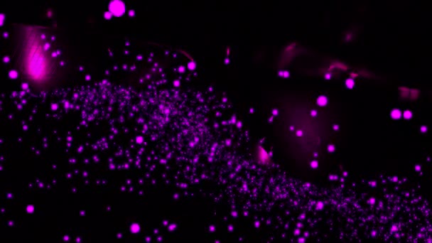 Black background. Design.Radiant a small white and purple reflection in the abstraction inconsistently moves in different directions. High quality 4k footage - Footage, Video
