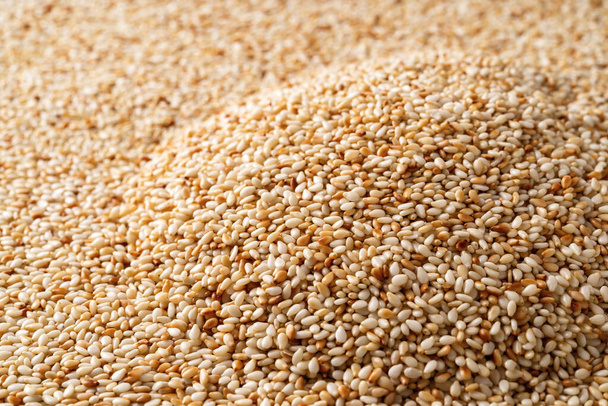 Heap of toasted sesame seeds macro texture. Pile of roasted Sesamum indicum background. White til as asian cuisine ingredient. Organic benne seeds as calcium source for healthy food concept. Top view. - Photo, Image