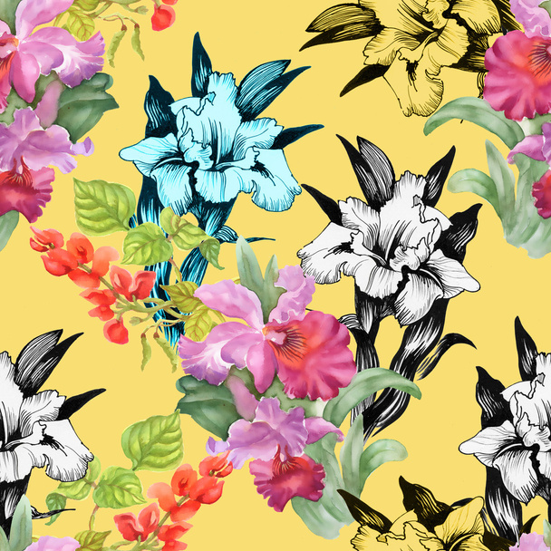 Colorful iris flowers background - 写真・画像