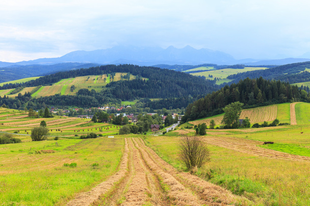 Vista desde Spisz a las montañas Tatra, Polonia
 - Foto, imagen