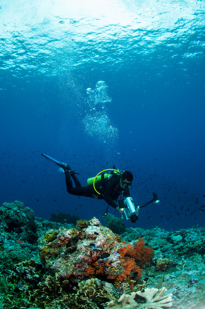 Potápěč plavání v podvodní fotografii Banda, Indonésie - Fotografie, Obrázek