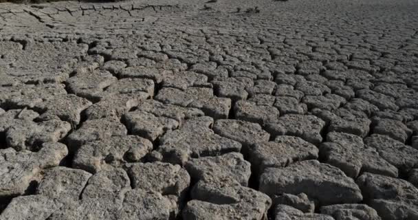 Trockenheit in der Camargue, Frankreich - Filmmaterial, Video