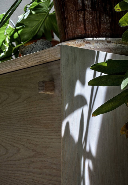 wooden furniture light and shadow, light wood credenza contrasting with light and shadow, vegetation in the foreground, close-up view - Photo, Image