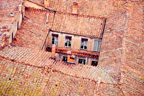 Крыши и задний двор Сиены
 - Фото, изображение