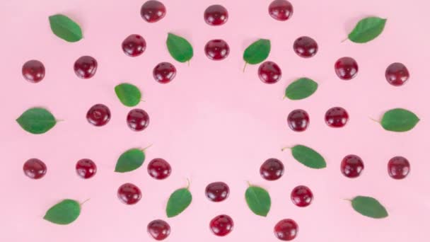 4k Ripe cherries, blueberries and green leaves arranged in a circle on a pink background. Berries are blinking, and leaves are moving. Concept of berries season and proper nutrition. Stop motion animation. - Imágenes, Vídeo