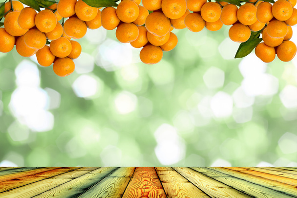 mandarinka stromy - Fotografie, Obrázek