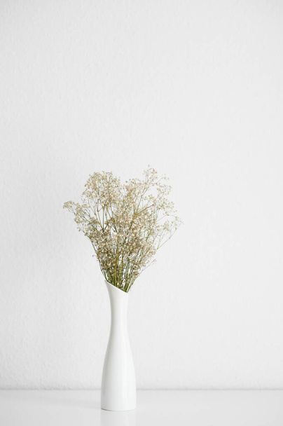 Πράσινα αποξηραμένα λουλούδια σε μινιμαλιστικό βάζο. Λευκό σκανδιναβικό εσωτερικό. - Φωτογραφία, εικόνα