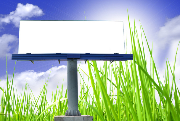 BIg blank billboard in field - Фото, зображення