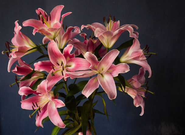 Beautiful bouquet of flowers. Lilies on a dark background. Background. Texture. - Fotó, kép