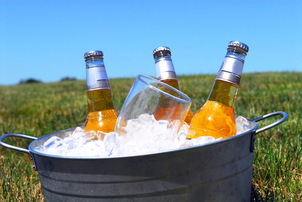 Відро пива на льоду в пікніку
 - Фото, зображення