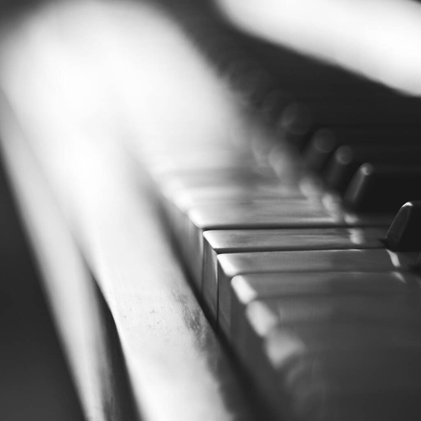 A closeup and monochrome shot of piano keys - Foto, immagini