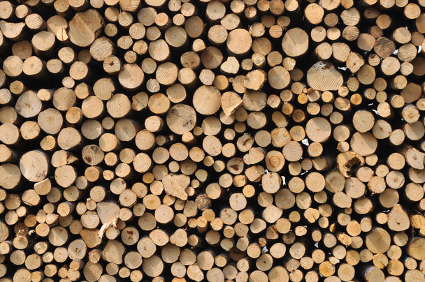heap of many wooden logs useful as a background - Photo, Image
