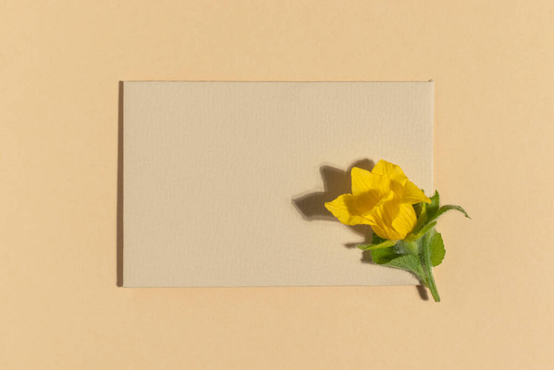 Beige greeting card with yellow flower on beige background. Top view. - Фото, изображение