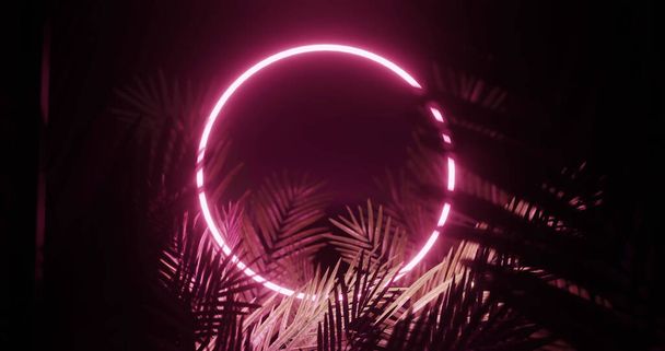 Image of leaves over pink neon circle on black background. Light, pattern and movement concept digitally generated image. - Foto, Imagem