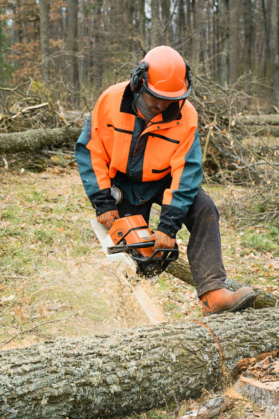 Bosbouw werknemer met chainsaw is een logboek zagen. Proces van loggen - Foto, afbeelding