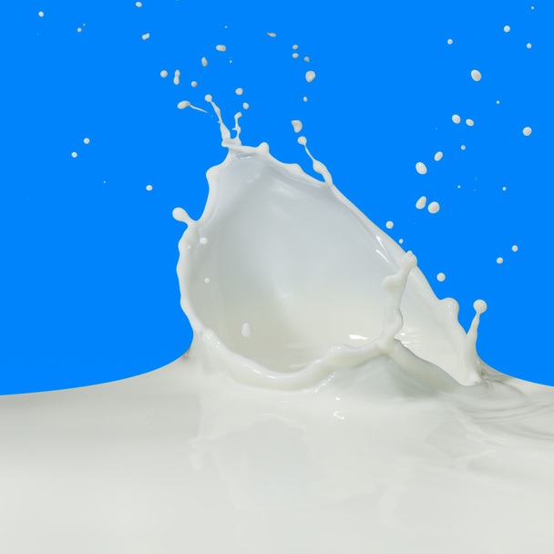 Πιτσιλιές γάλακτος - Φωτογραφία, εικόνα
