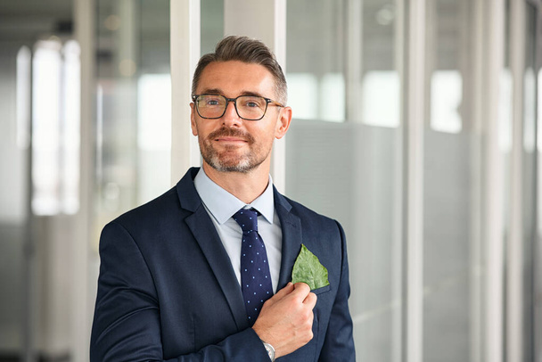 Portrait of handsome mature business man in formal clothing touching leaf in coat pocket. Business corporate social responsibility and environmental concern. Green business concept, take care of the environment. - Фото, зображення