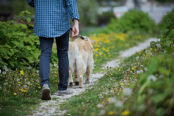 Man and dog walking together in nature, healthy lifestyle and pet care concept - Foto, Imagen