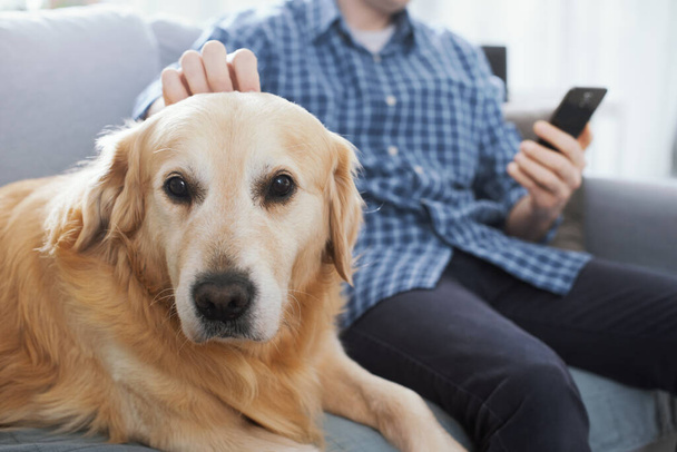 Man sitting on the couch at home, he is chatting with his smartphone and cuddling his dog - Photo, image