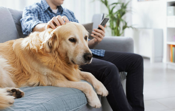 Man sitting on the couch at home, he is chatting with his smartphone and cuddling his dog - Foto, immagini