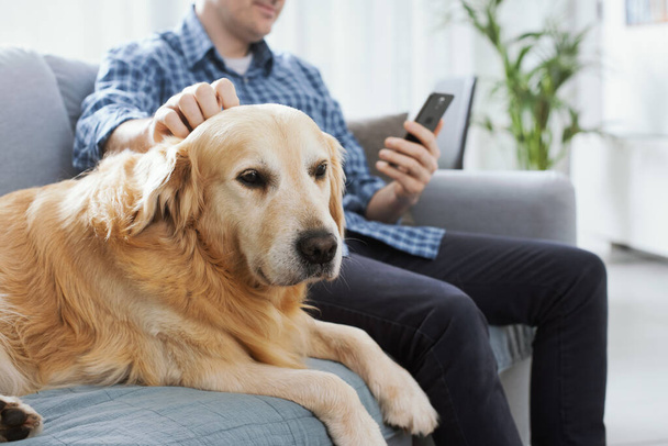 Man sitting on the couch at home, he is chatting with his smartphone and cuddling his dog - Foto, Imagen
