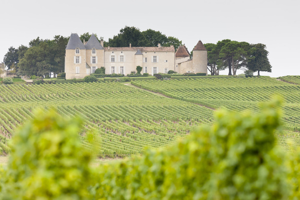 ブドウ畑とシャトーは d ' ディケム、ソーテルヌ地域フランス - 写真・画像