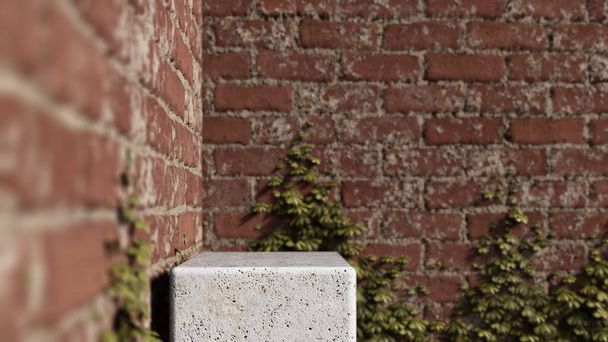 A 3d rendering image of white concrete product display on brick wall which have ivy climbed. - Fotografie, Obrázek