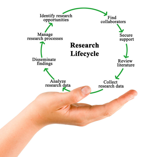 Eight Components of Research Lifecycle - Foto, afbeelding