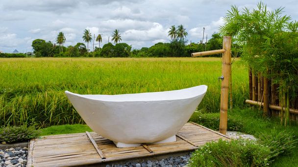 Eco farm homestay with a rice field in central Thailand, paddy field of rice during rain monsoon season in Thailand.  - Photo, Image