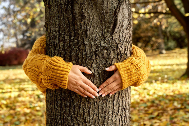 Beyaz kadın sonbahar boyunca parkta ağaçların etrafında kollarını tutuyor.  - Fotoğraf, Görsel