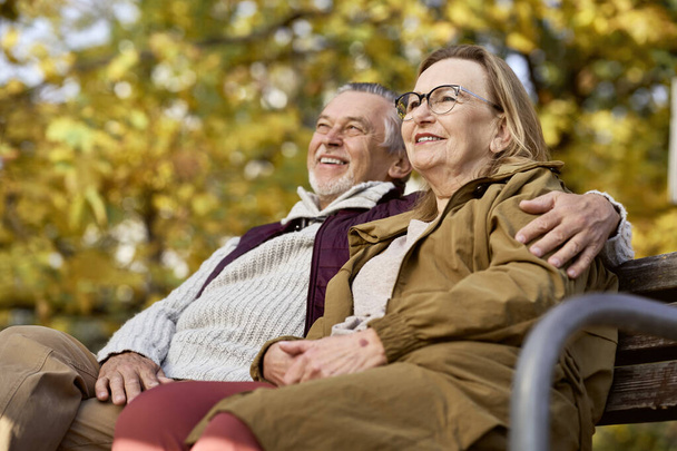 Senior caucasian couple sitting at the bench in park    - Foto, Bild