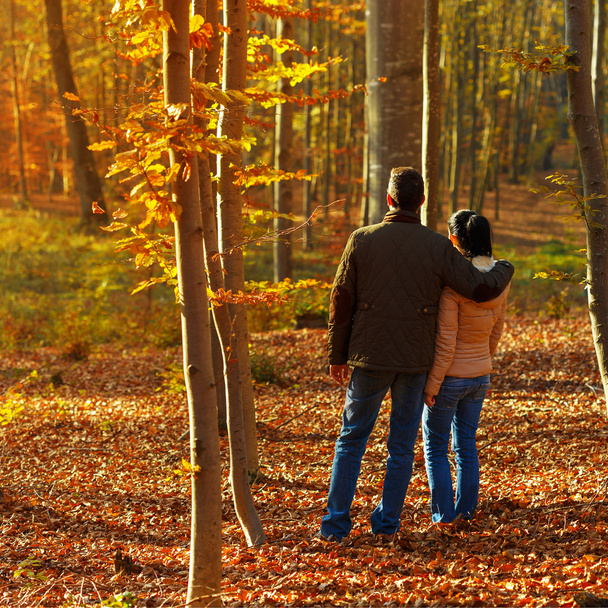 Jovem casal na floresta enquanto outono
 - Foto, Imagem